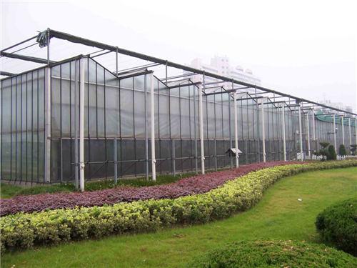 玻璃温室大棚蔬菜连作障碍防控原理