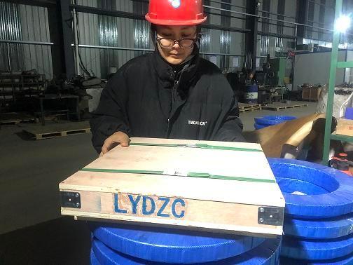 LYDZ专做精品RU228X交叉滚子轴承