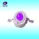 星辰光电 LED紫光灯珠 1W大功率紫光灯珠 特殊光效紫光LED