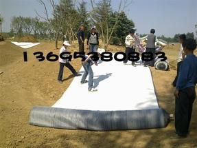 惠州膨润土防水毯（覆膜）膨润土防水毯