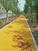 生态海绵城市领跑者，上海誉臻彩色沥青路面材料施工