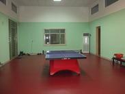供应YK乒乓球地胶、乒乓球室内防滑地板