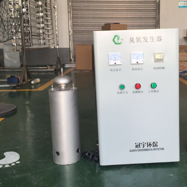 淮安市 WTS-2B   水箱自洁器