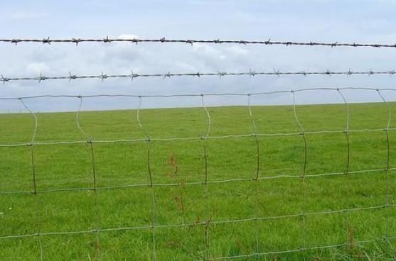 厂家批发圈地草原网|草原防护网|草原网围栏网|畜牧养殖防护网