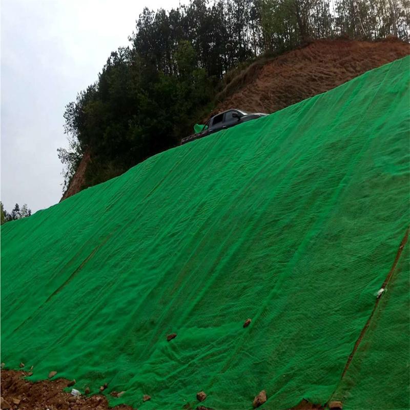 矿山复绿三维土工网垫 河道治理三维网垫 三维植被网