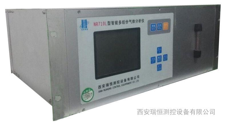 NR710L型智能红外CO分析仪