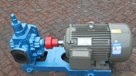 2CG系列高温泵厂家-直销2CG-6/0.6型高温齿轮泵
