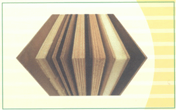公司专业生产木胶板，木胶模板