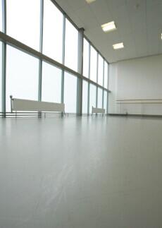 小马舞蹈地板,弹性舞蹈室地板胶