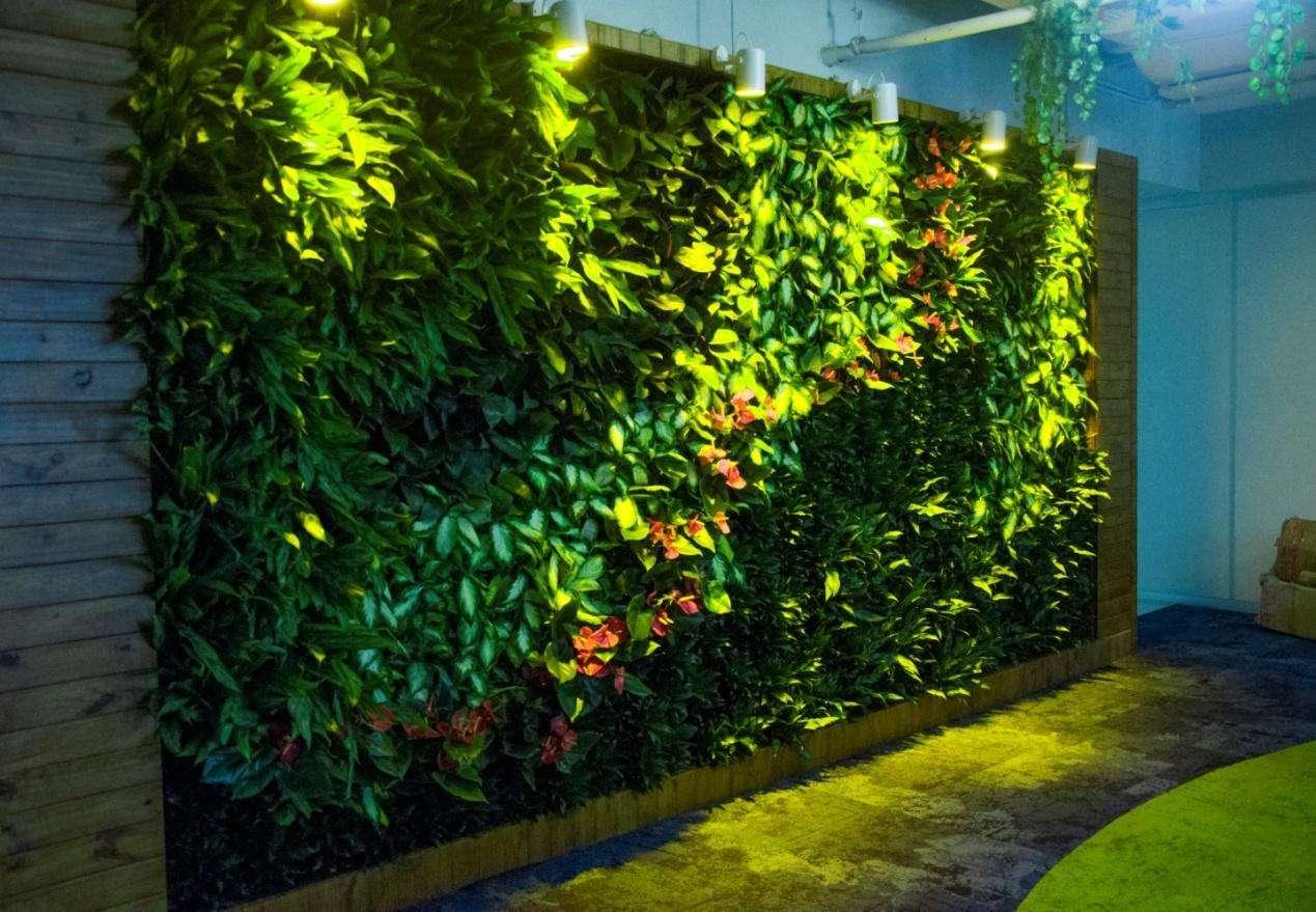 植物墙制作技术，有什么优缺点呢