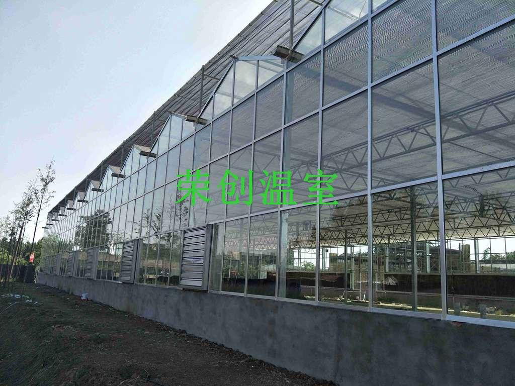 安徽安庆温室/山东烟台温室/文洛型连栋玻璃温室的特点及造价