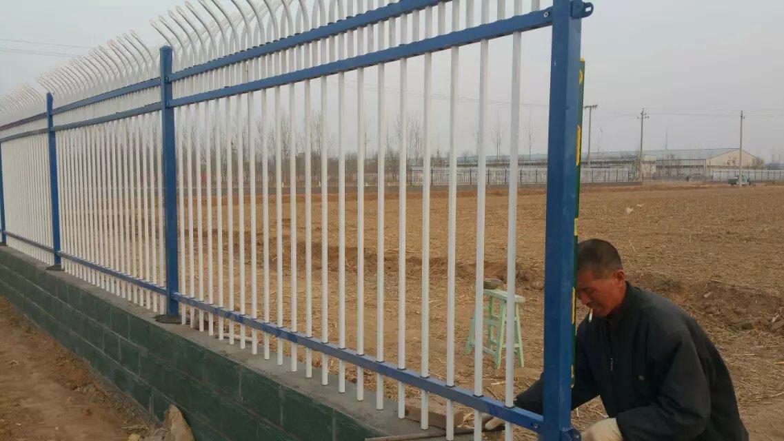 围墙护栏供应热镀锌护栏网小区市政锌钢防护网双梁单双弧形锌钢