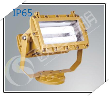 ​SBF6130 免维护节能泛光灯