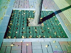 塑胶复合材料环保型护树板