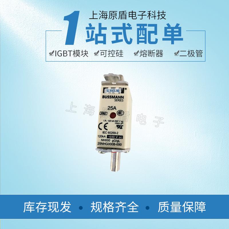 进口熔断器保险丝25NHG000B-690电路需求
