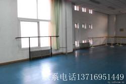 舞蹈运动地板舞蹈房塑胶地板