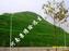 绿化草籽液力喷播边坡绿化工程公司郑州景绣绘远绿化施工方
