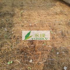 供应植物纤维毯,厂家直销椰丝植草毯,边坡绿化防护环保植被毯