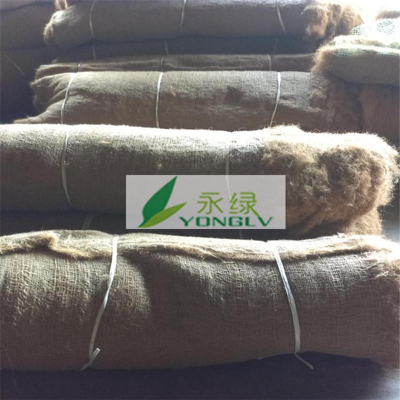 供应植物纤维毯,厂家直销椰丝植草毯,边坡绿化防护环保植被毯