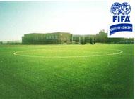 FIFA认证足球场草坪
