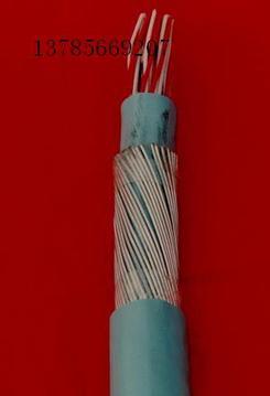 RS-485电缆 RS485通讯电缆