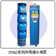 250QJ系列井用潜水电泵