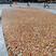 上海外滩胶粘石地坪铺装价格3公分胶粘石施工报价