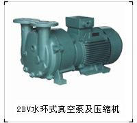 2BV系列液环泵-淄博博山天体真空设备有限公司