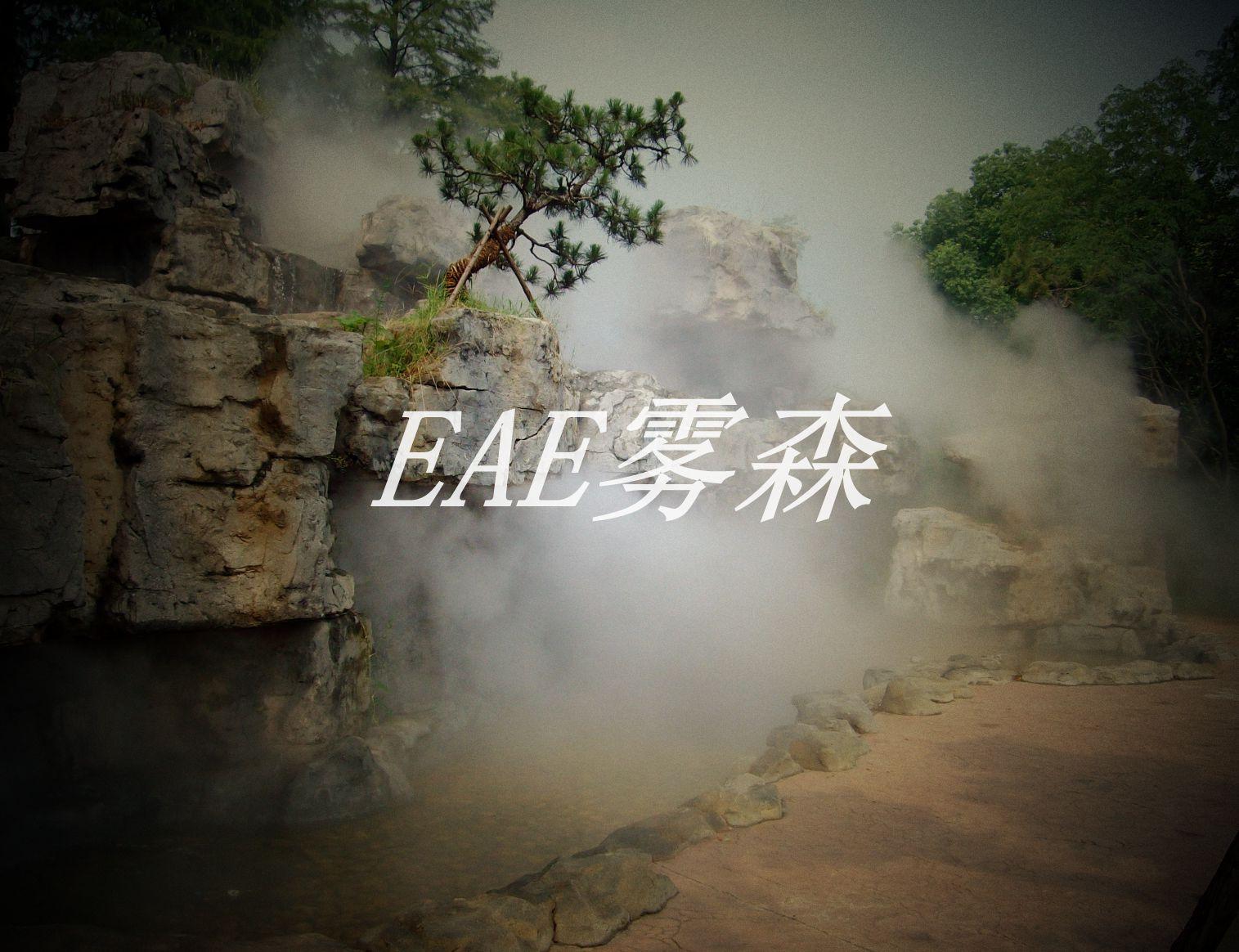EAE人造雾设备应用假山