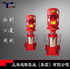 TL40-250ISG管道泵