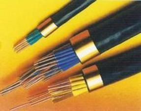 PTY23电缆 24X1 信号电缆PTY23铁路信号电缆价格