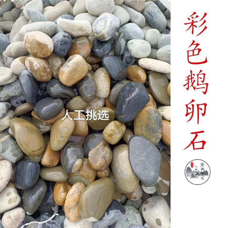 广东杂色鹅卵石/污水处理滤料石材/水池垫底变压器鹅卵石