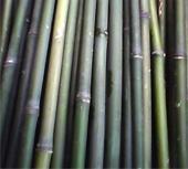 长期生产提供竹跳板、竹片、楠竹、菜竹杆