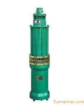 小型潜水电泵--QS系列小型潜水电泵