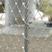 304不锈钢绳网兜编织绳网高空防坠物安全网阳台防护网植物攀爬网