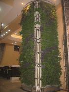 深圳墙体垂直绿化装饰，足不出户享受新鲜空气