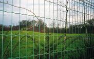 山林放养围栏网，散养鸡围栏网，铁丝网围栏，养鸡围栏网