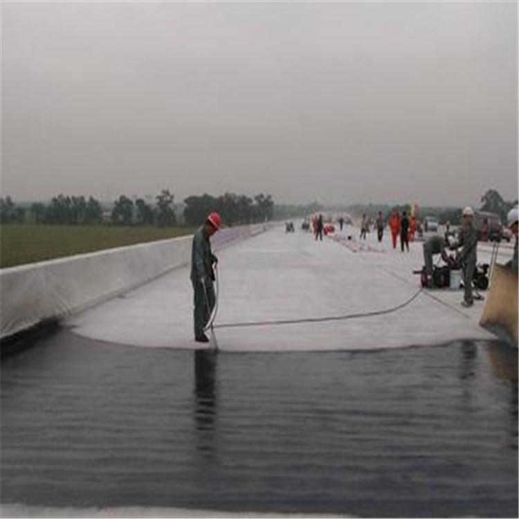 SBR改性沥青桥面防水涂料