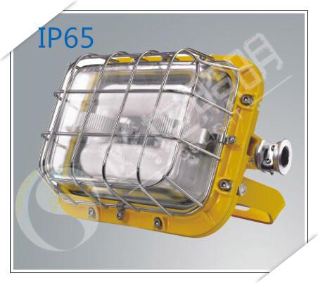 ​SBD1102-YQL40免维护防爆节能灯