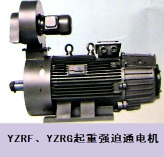 YZ、YZR、JZR2起重电机