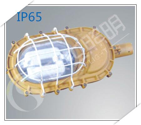 SBD1101-YQL50免维护节能防爆灯