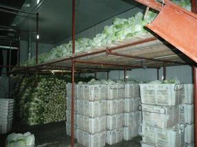 500吨蔬菜冷库造价，500吨保鲜冷库预算