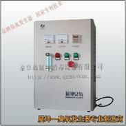 天津饮用水小型臭氧发生器，天津水处理臭氧机