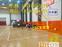 贵阳运动地板 体育馆专用实木地板 双层运动木地板