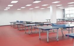 乒乓球塑胶地板乒乓球塑胶地板价格乒乓球室塑胶地板