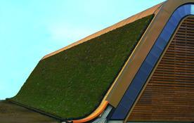 户外屋顶绿化 wpc垂直绿化植物墙