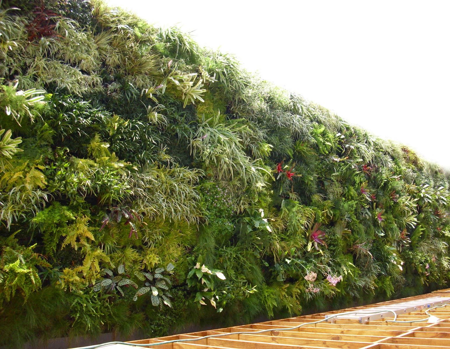 户外屋顶绿化 wpc垂直绿化植物墙