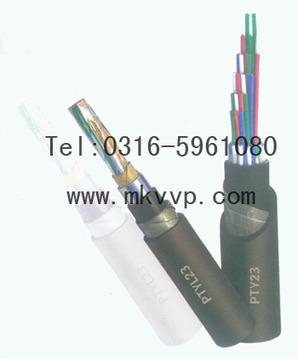PTY22铁路信号电缆