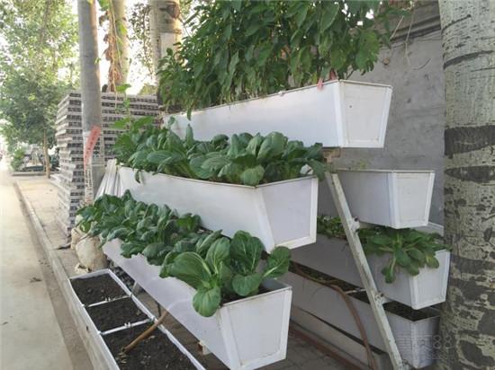 ​A型架式蔬菜种植槽，立体栽培槽厂家年终促销