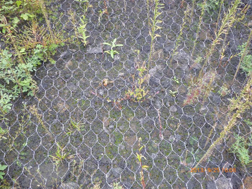 纤维防护垫护坡铁丝网植树种草护坡加筋麦克垫